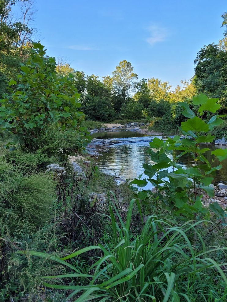 Paint Branch Stream Valley Park - Chesapeake Conservation Landscaping ...